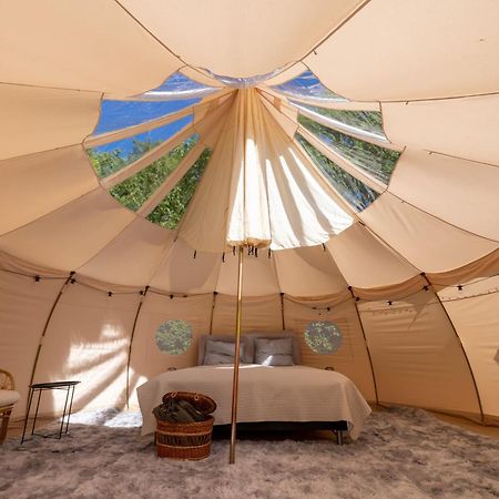 Holmegaard Vin Og Glamping Hotel Dannemare ภายนอก รูปภาพ